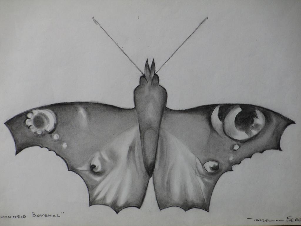 Karel van Seben, Schoonheid Bovenal, Tekening kopen? Bied vanaf 1!