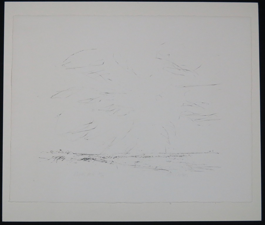 Willem den Ouden: Litho, Zonder titel verkocht voor € 80!