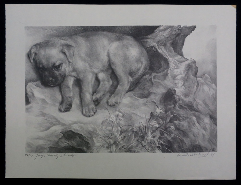 Aart van Dobbenburgh: Litho, Joep, Marthy's hondje kopen? Bied vanaf 1!