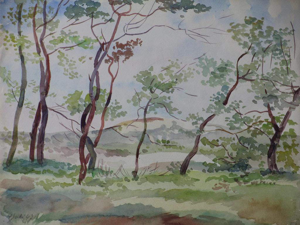 Han Krug, Duingezicht, Aquarel 1947 kopen? Bied vanaf 1!