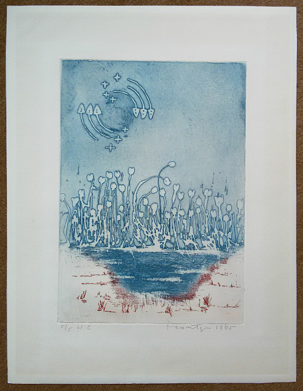 Jan Montyn - Waterbloemen West Bengalen, aquatint ets kopen? Bied vanaf 150!