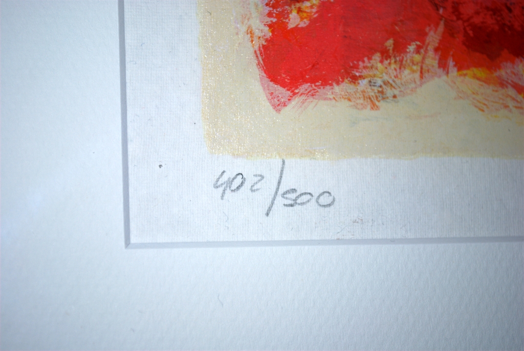 Perfect ingelijste zeefdruk IN NIEUWSTAAT kopen? Bied vanaf 35!