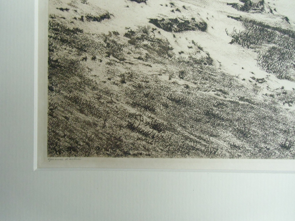 GROOT DUINLANDSCHAP / ETS VAN DIRK HARTING kopen? Bied vanaf 50!