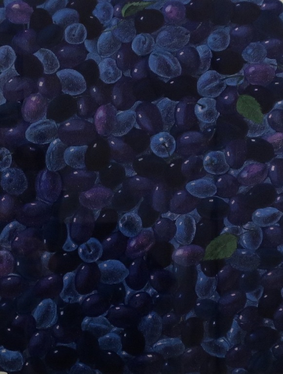 Ctirad Stehlik: Litho, Pruimen - Ingelijst kopen? Bied vanaf 35!