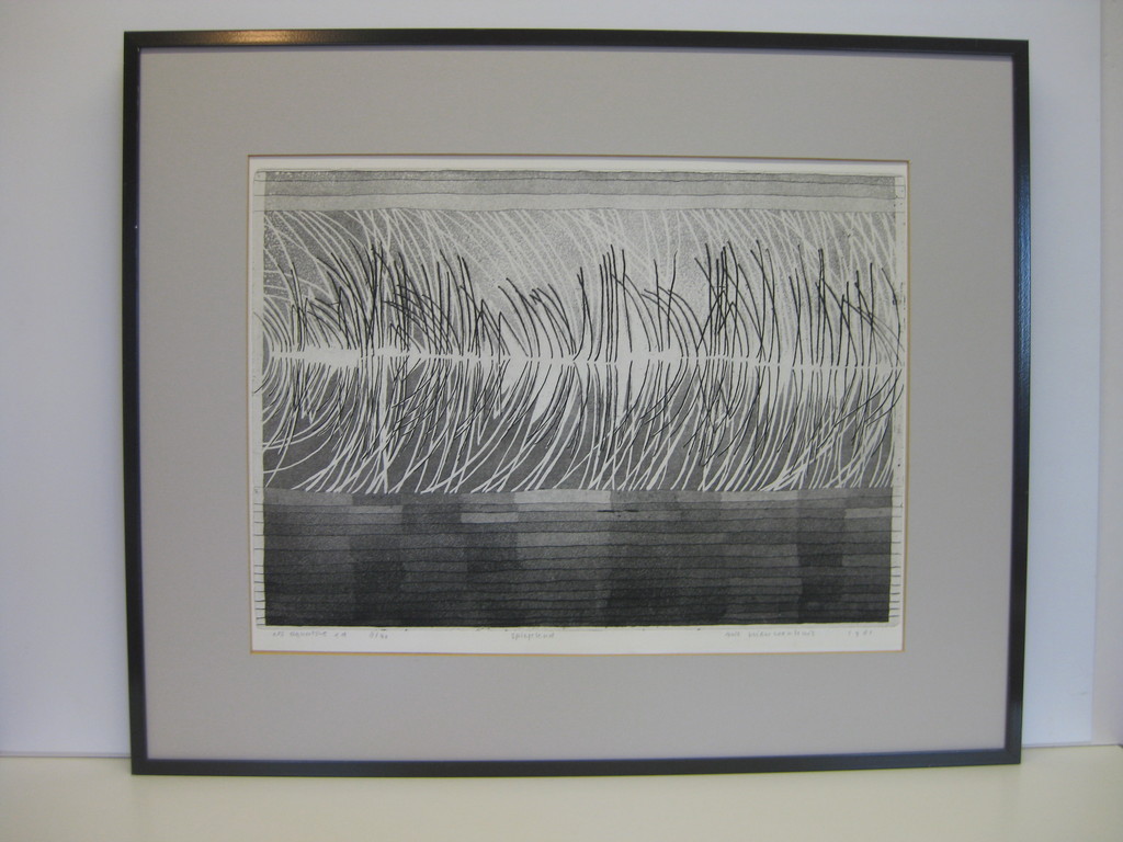 Nicoline Nieuwenhuis (1951)