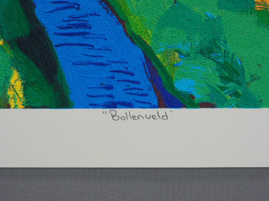 Jentsje Popma - Jentsje Popma: zeefdruk, Bollenveld kopen? Bied vanaf 50!