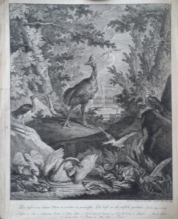 J.E. Ridinger, ets, vogels verkocht voor € 40!