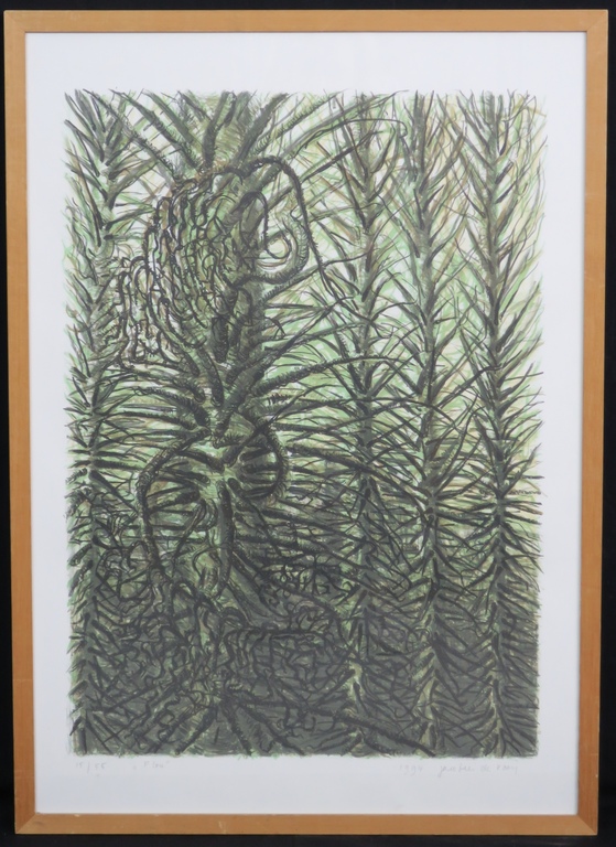 Jacobien de Rooij: Litho, Flou - Ingelijst verkocht voor € 35!