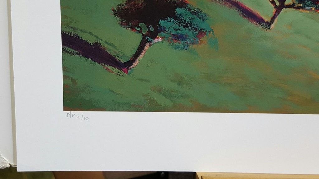 PAUL POWIS - COLORFUL WORLD, Litho, handgesigneerd en genummerd, oplage 250  kopen? Bied vanaf 1!