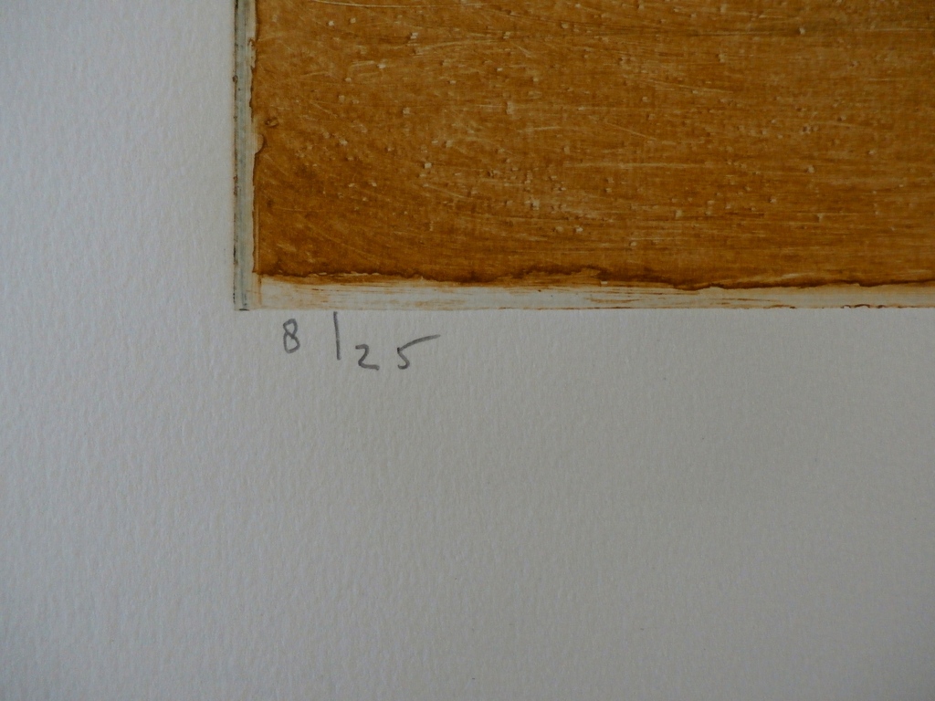 Jan Montyn - ets: Provence/olijfbomen - 1996 - oplage: 25 kopen? Bied vanaf 150!