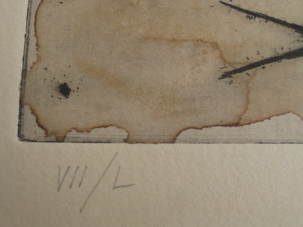 Fraaie grote handgekleurde en gesigneerde zeefdruk van Frank Lodeizen 1931-2013  kopen? Bied vanaf 1!