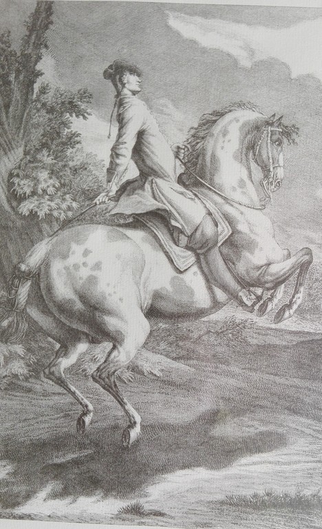 Johann Elias Ridinger: Kopergravure, 2 x Paardensport kopen? Bied vanaf 1!