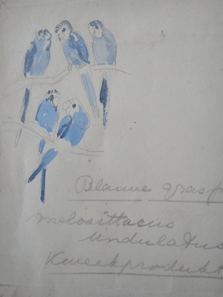 Tini van Doornik (1906-1980), aquarel, 4 schetsen van vogels kopen? Bied vanaf 1!