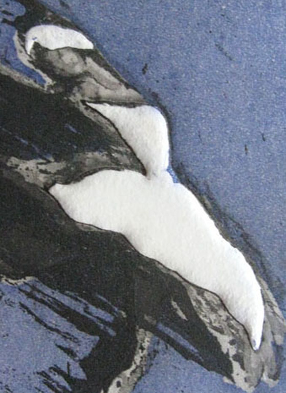 Willy Belinfante - BALLERINA - kleurets met hoogdruk kopen? Bied vanaf 1!