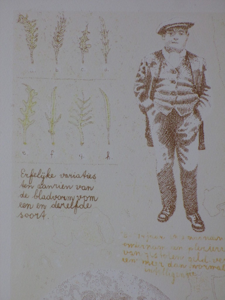 Theo Kley, Erfelijke variaties en Organische structuren, Kleurlitho kopen? Bied vanaf 30!