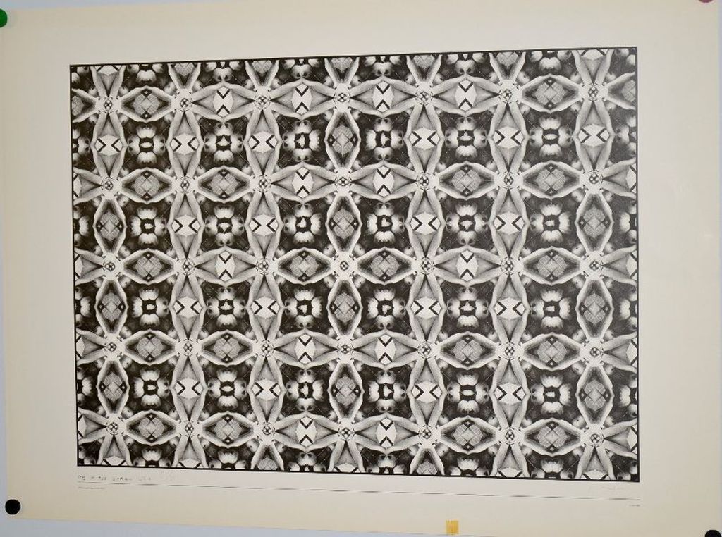 Shinkichi Tajiri: Offset Techniek My Secret Garden No. 4 kopen? Bied vanaf 1!