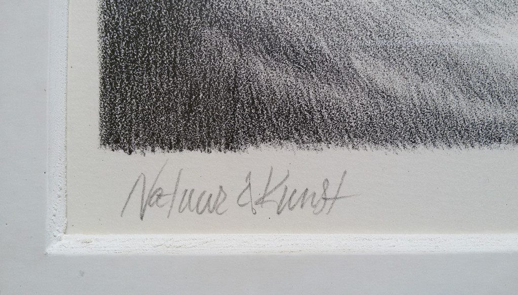 Peter Vos - Natuur & Kunst, litho (mooi ingelijst) kopen? Bied vanaf 95!