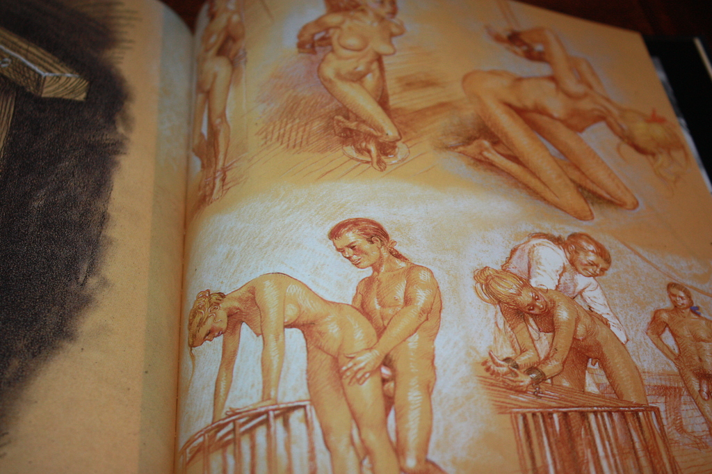 erotische litho plus boek kopen? Bied vanaf 60!