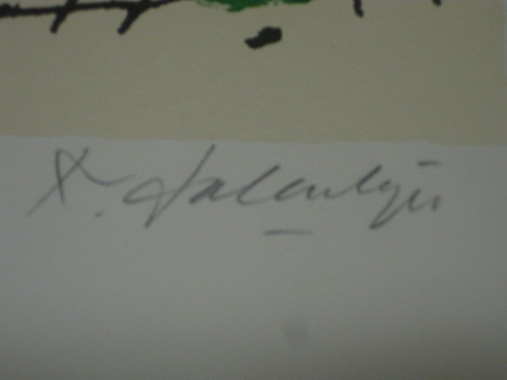 Kees Salentijn (1947-)litho "Hollands landschap" kleine oplage!! 21/25 gesignee  kopen? Bied vanaf 1!