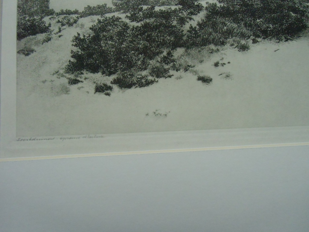 ZANDVERSTUIVING BIJ SOESTDUINEN // ETS VAN DIRK HARTING kopen? Bied vanaf 40!