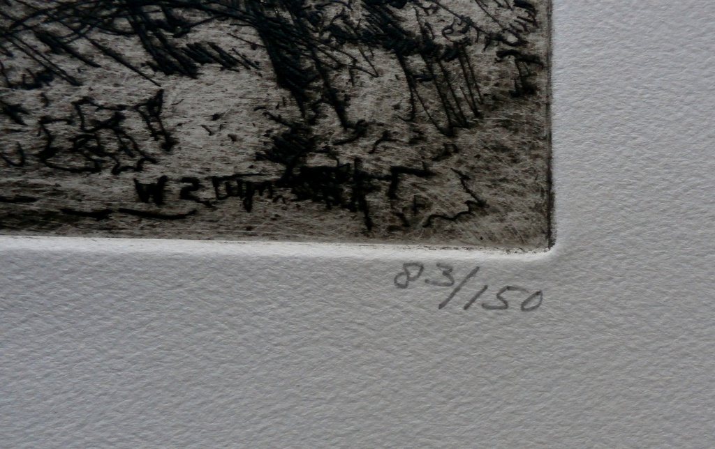 Wim Steijn - grote ets: bomen - 1974 kopen? Bied vanaf 40!