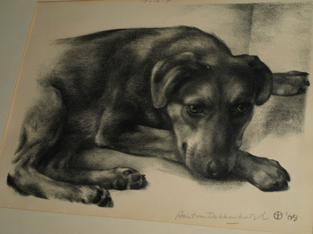 Aart van Dobbenburgh : Litho – Hond – Gesigneerd - 1969 kopen? Bied vanaf 1!