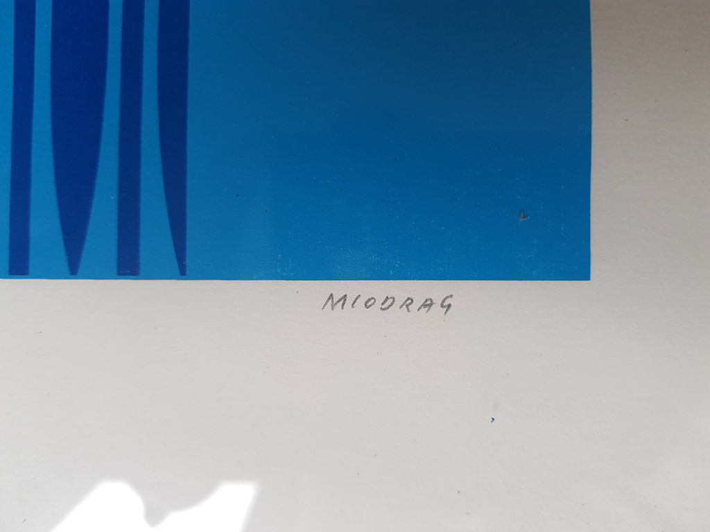 Dordevic Miodrag - Dordevic Miodrag (1936) - zeefdruk 35/100, gesigneerd (ingelijst) kopen? Bied vanaf 1!