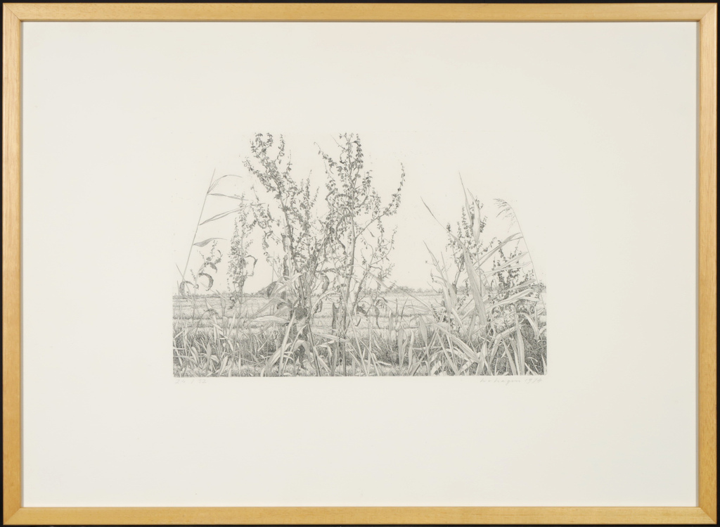 Han van Hagen: Ets, Zonder titel - Ingelijst kopen? Bied vanaf 35!