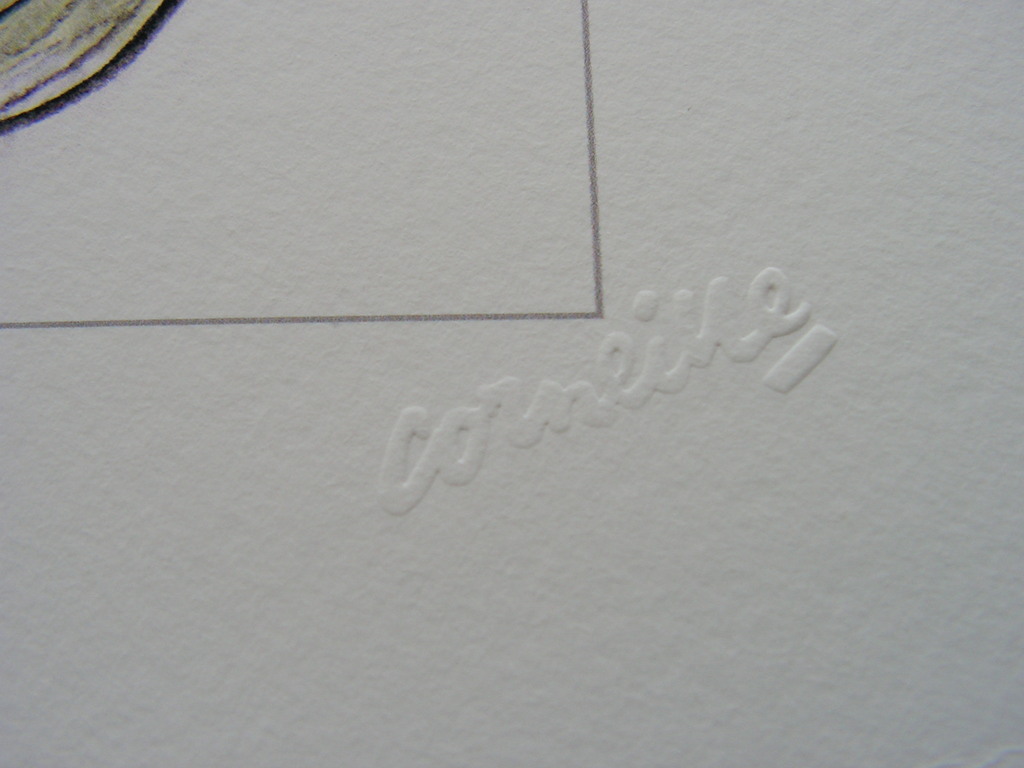Corneille  -  piezo grafiek  -  naakte vrouw met vogelkooi kopen? Bied vanaf 1!