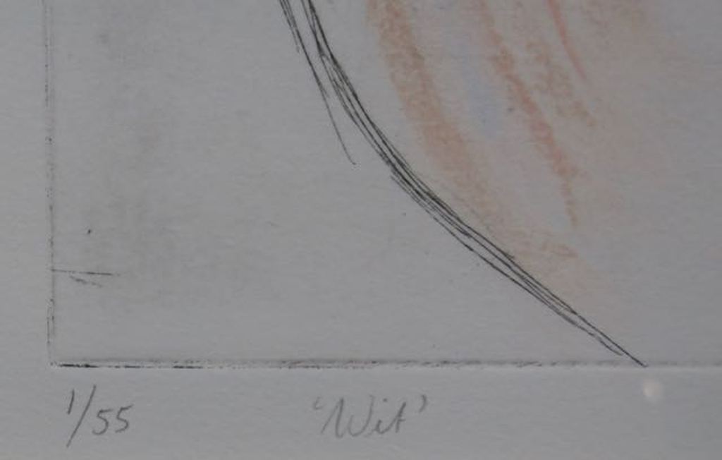 Iris van Dongen: Gemengde techniek, Wit - Ingelijst kopen? Bied vanaf 50!