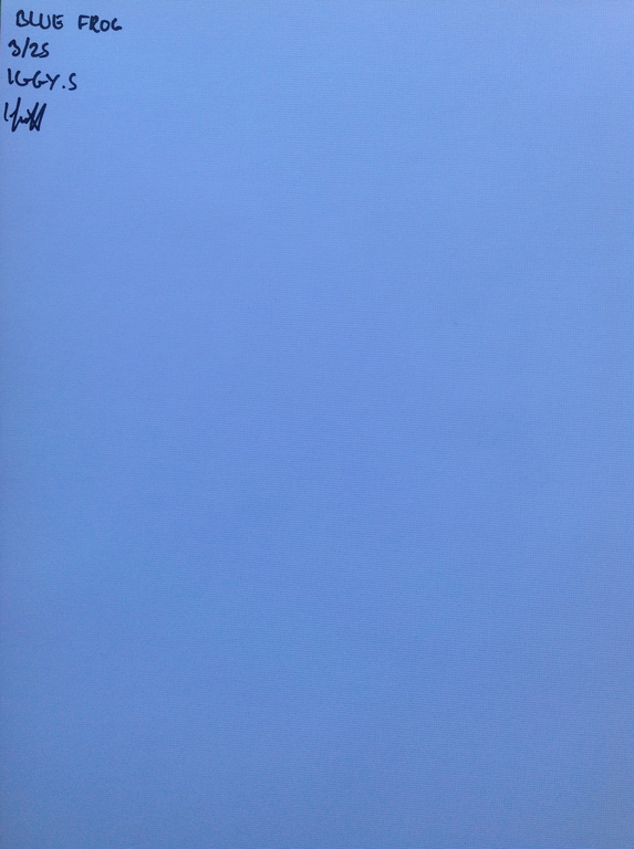 Iggy S.- prachtige  gelimiteerde giclee print-Blue Frog kopen? Bied vanaf 20!