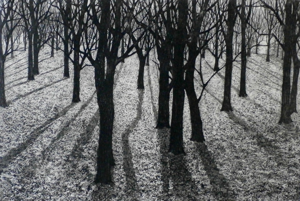 Paulien Wittenrood - ets: bos - 1974 kopen? Bied vanaf 50!