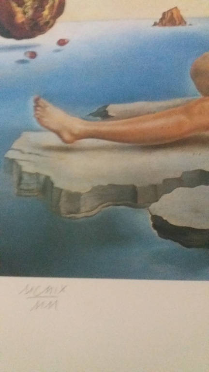 Salvador Dali - Lithografie - Réve causé par le vol d'une abeille ... kopen? Bied vanaf 350!