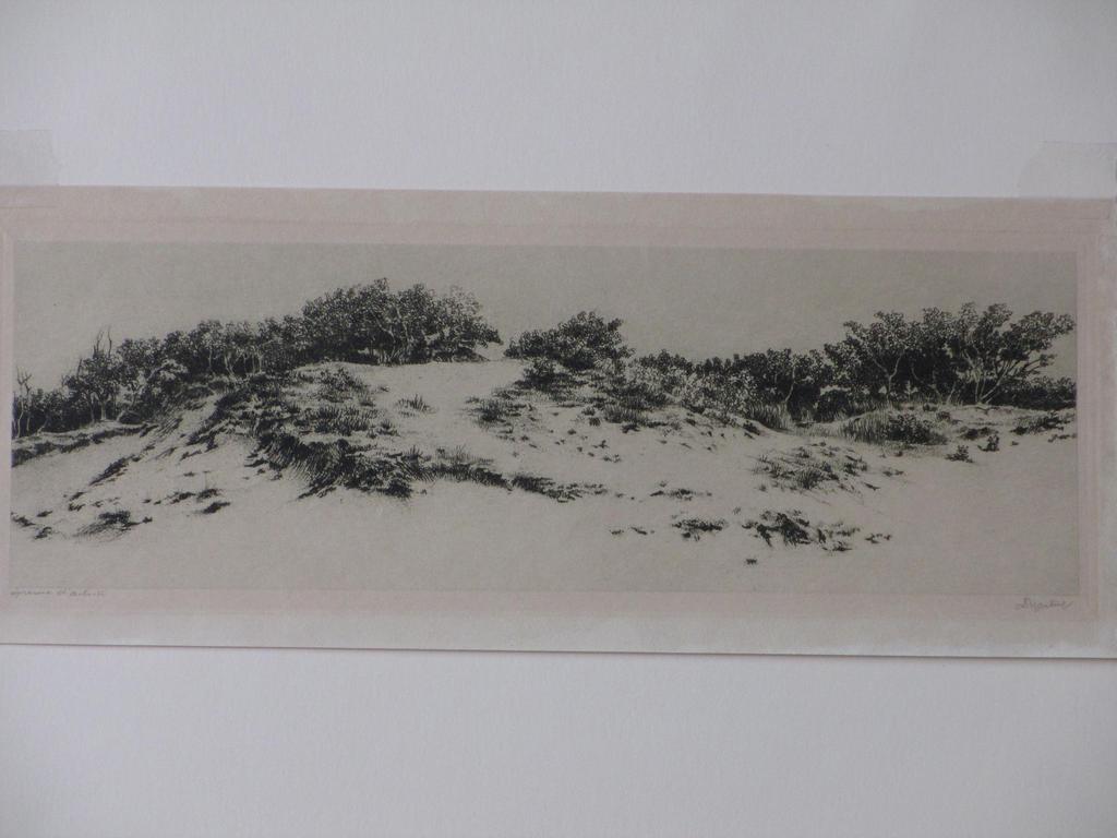 Dirk Harting, Duingezicht, Ets  kopen? Bied vanaf 25!