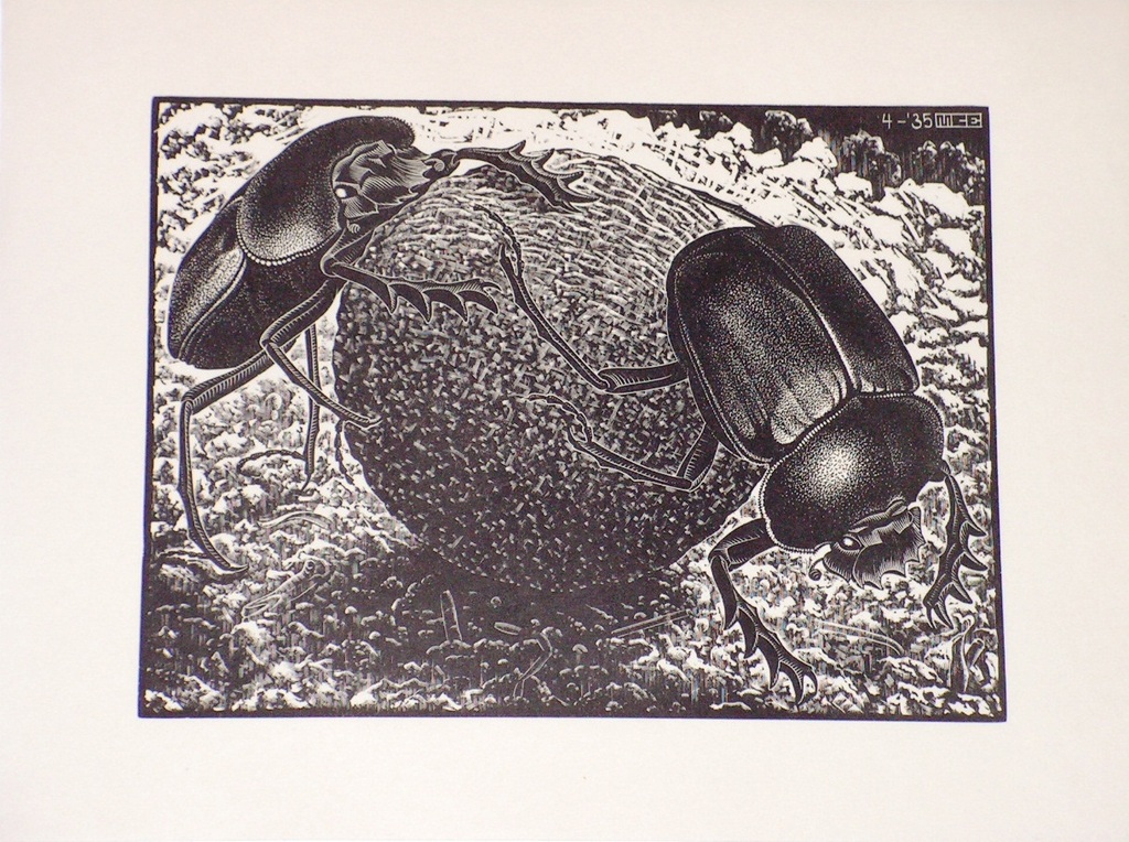 MC Escher, ORIGINELE houtgravure, 1935. Scarabeeën kopen? Bied vanaf 1000!