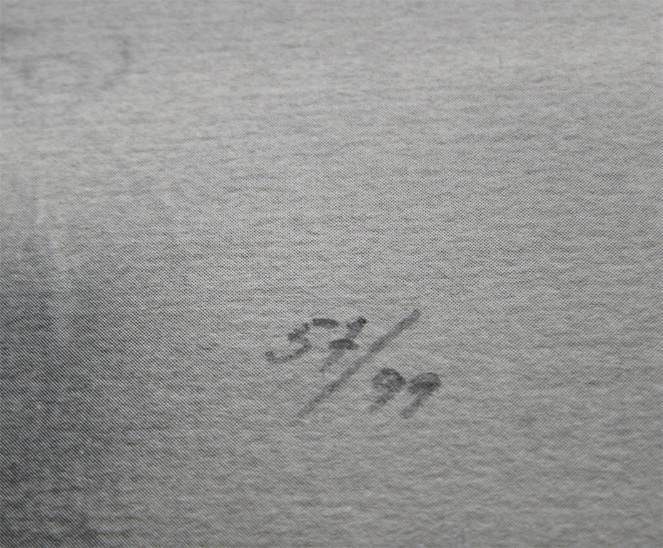 Hannah Collins - " Still life " - Litho - 1992 - (Handgesigneerd) kopen? Bied vanaf 172!