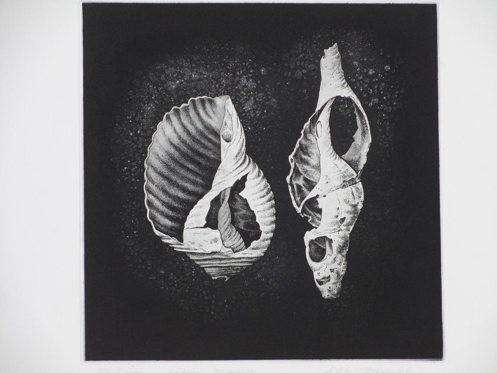 Dick Stolwijk, Verweerde schelpen, Ets kopen? Bied vanaf 55!