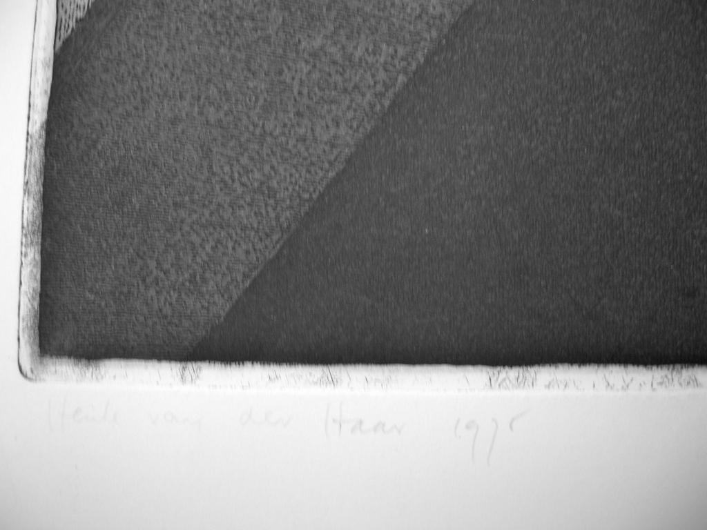 Henk van der Haar, ets/aquatint: Meelijwekkende onderwerpen: wachten op bezoek kopen? Bied vanaf 40!