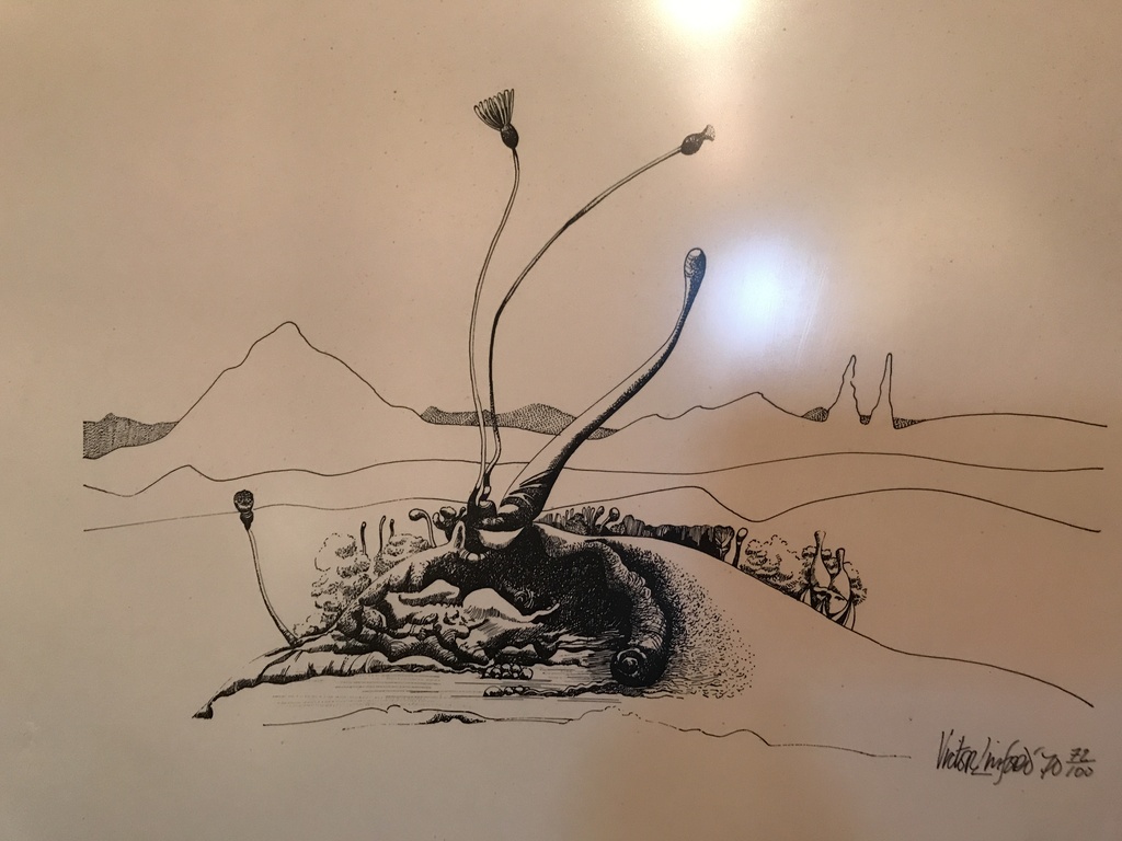 Litho kopen? Bied vanaf 20!