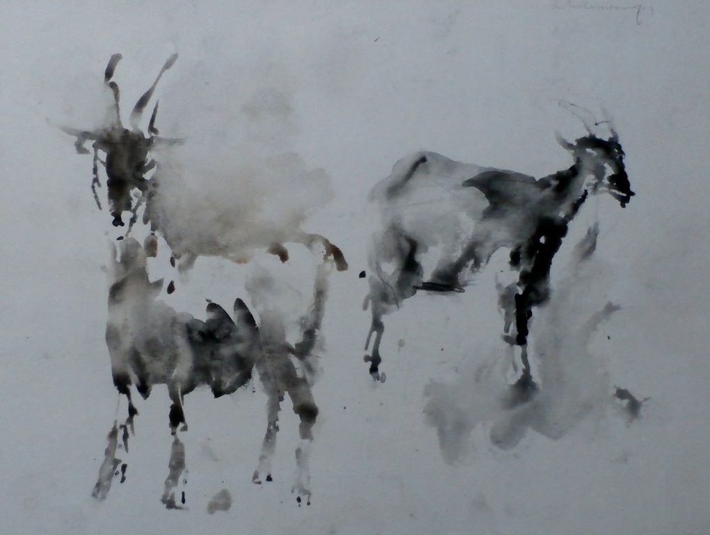 Nico Molenkamp - krijttekening: 2 steenbokken kopen? Bied vanaf 350!