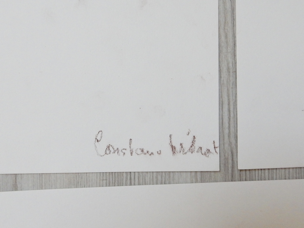 Constance Wibaut (1920-2014) - serie naakten 10x kopen? Bied vanaf 50!