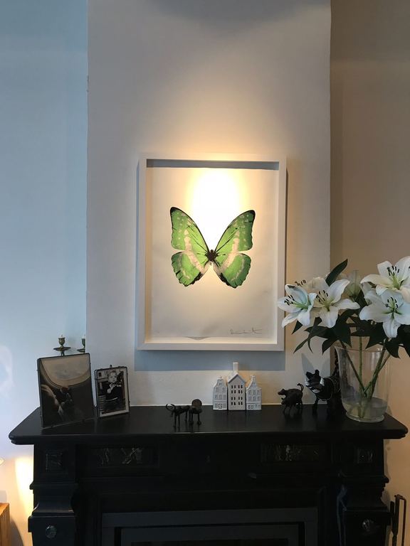 Damien Hirst: The Soul, Leaf Green, Silver Gloss and Raven Black No. 5-15 kopen? Bied vanaf 6500!