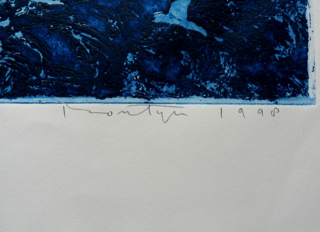 Jan Montyn - ets; In het teken van de dolfijn - 1998 kopen? Bied vanaf 150!