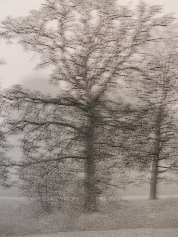 Philip Wiesman, ets / bomen in landschap in passe partout met lijst kopen? Bied vanaf 50!