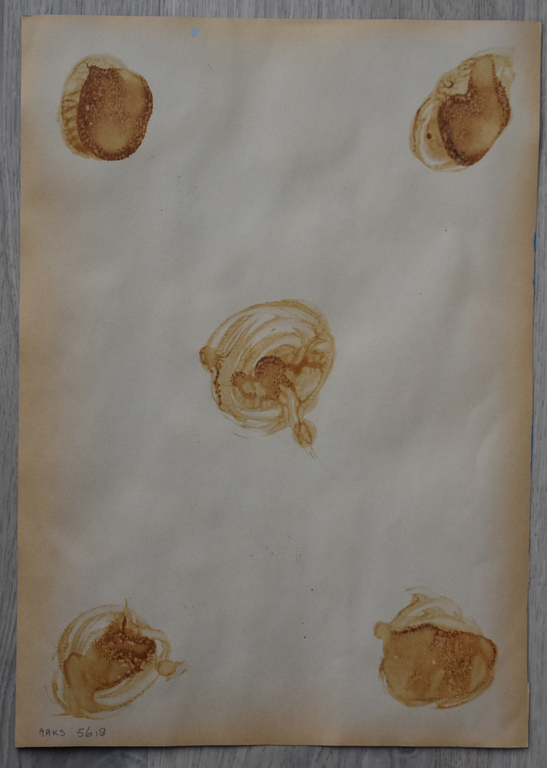 Catharina Naus - Toos ( Catharina ) Naus, # RODE LIPPEN # 1983, mint- kopen? Bied vanaf 25!
