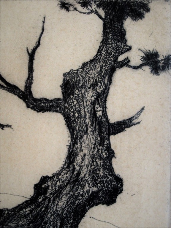 Zeldzame "Japanse periode" Ets "Oude boom" Dirk Baksteen gesigneerd  kopen? Bied vanaf 1!