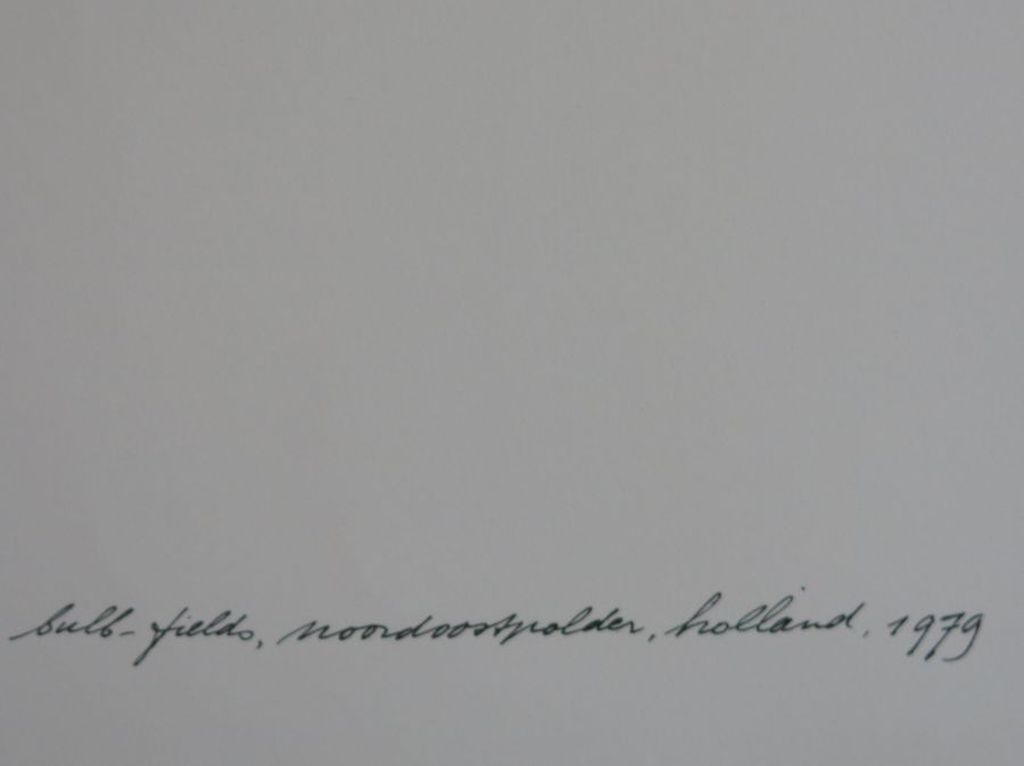 Ger Dekkers: Offset, Bulb-fields, noordpolder, holland kopen? Bied vanaf 40!