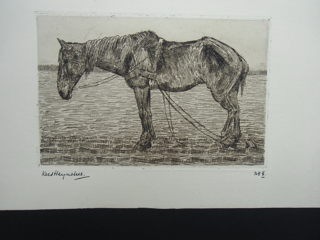 STAAND TREKPAARD  ///  ETS VAN KEES HEYNSIUS kopen? Bied vanaf 25!