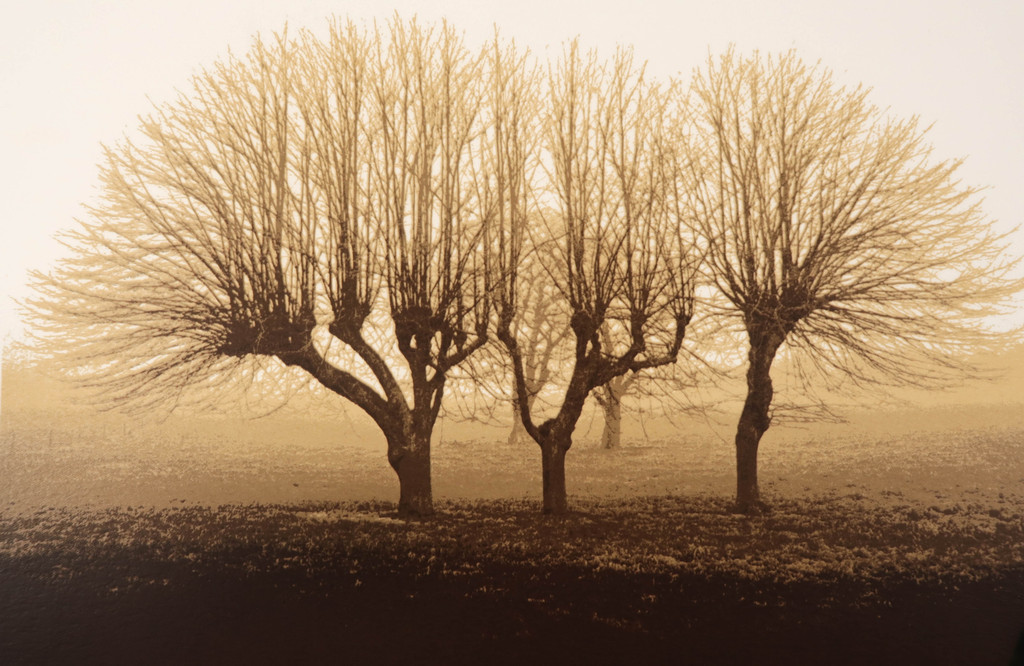 Piet Fioole: Zeefdruk, Aarde II kopen? Bied vanaf 35!