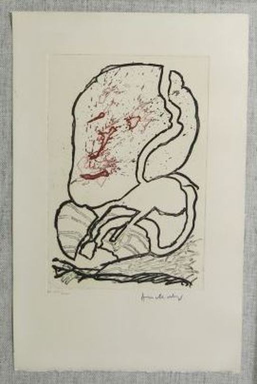 Pierre Alechinsky: Kleurenets, Kop verkocht voor € 250!